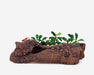 Aquavitro Ceramic Hide Model L1 (decorative Branch And Logs For Aquarium And Terrarium)