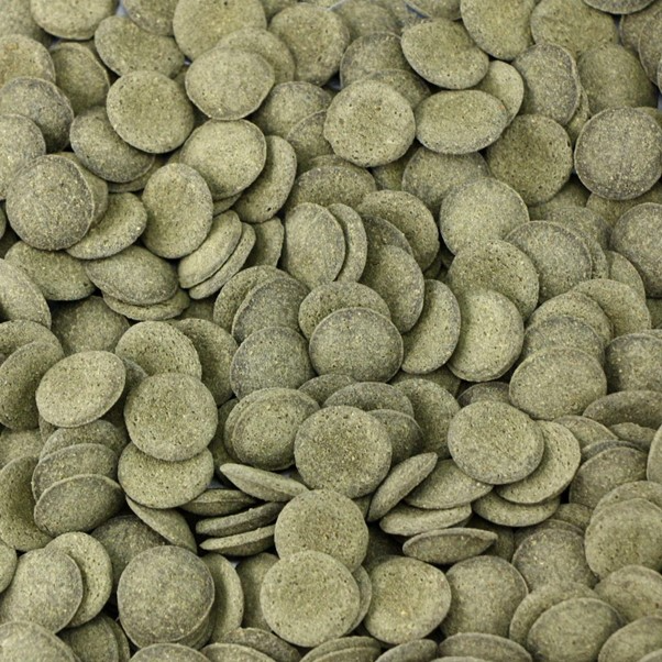 Ocean Nutrition Algae Wafers 75g