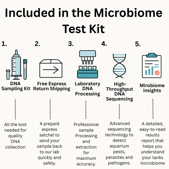 Reeflabs Aquarium P3 Test Kit (pests, Pathogens, Parasites, Toxic Algae)