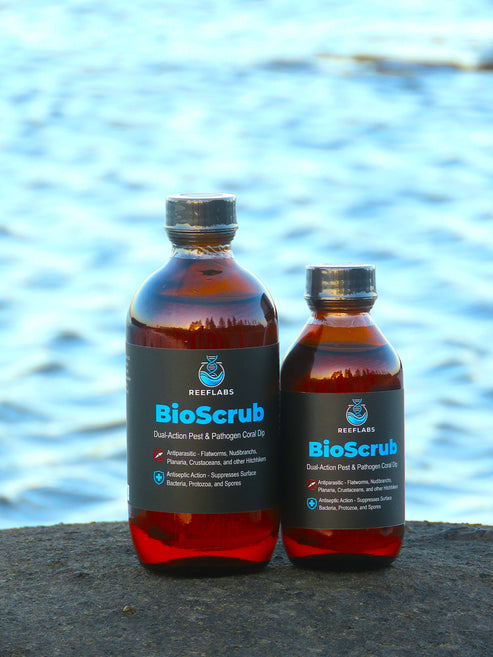 Reeflabs Bioscrub 100ml