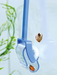 Dennerle Shrimp King Snail Catcher