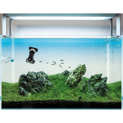 Tunze Care Magnet Nano (0220.010) - Up To 10mm Glass