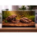 Wio Red Dusk River Kit