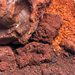 Wio Red Dusk River Kit