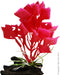 Aqua One Plastic Plant Red Variegated Hygrophila W Log Base Sm (28181)
