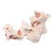 Aqua One Ornament Rock Coral 20x13x11cmh