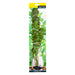 Aqua One Ecoscape Large Ruffled Lace Plant (28237)