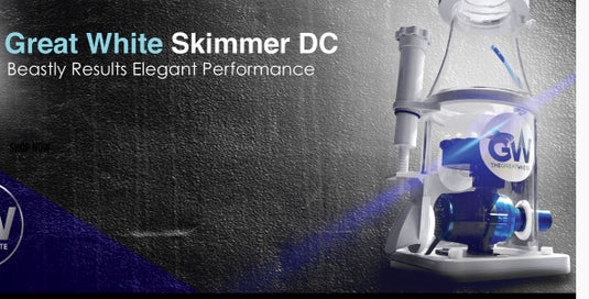 Great White Skimmer Dc Plus Gw-12