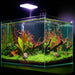 Illumagic Freshwater The Tini Aquascaper Led