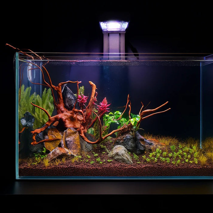 Illumagic Freshwater The Tini Aquascaper Led
