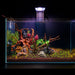 Illumagic Freshwater The Tini Aquascaper Led