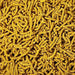 Sas Shrimp Food Spectrum Gold 30g