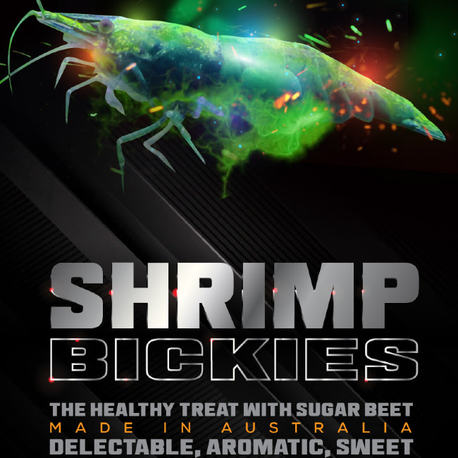 Sas Shrimp Bickies 15g