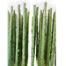 Sas Shrimp Pops Green Rods Pack Of 10