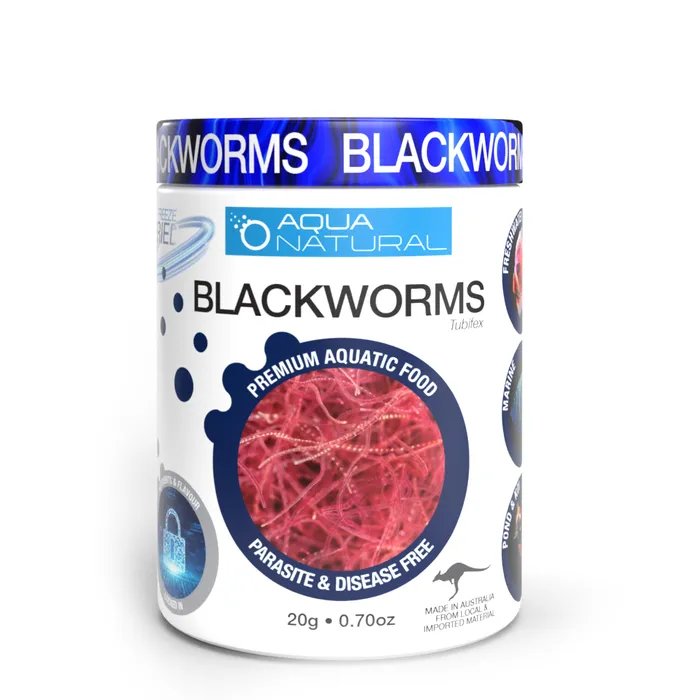 Aqua Natural Freeze Dried Blackworms 20g - IWAquariums