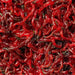 Aqua Natural Freeze Dried Bloodworms 26g - IWAquariums