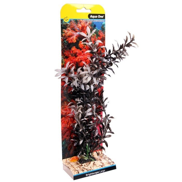 Aqua One Brightscape Large Ludwigia Black 30cm (28430) - IWAquariums