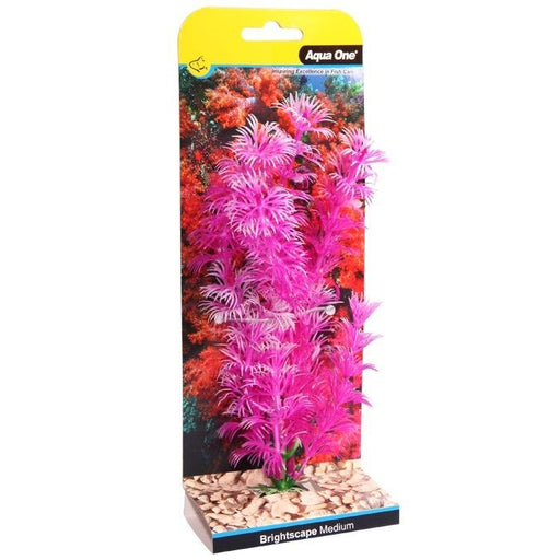 Aqua One Brightscape Medium Ambulia Pink 20cm (28421) - IWAquariums