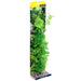 Aqua One Ecoscape Xlarge Cardamine Green 40cm (28411) - IWAquariums