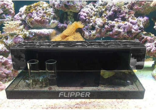 Flipper Magnetic Frag Station Rack Black - IWAquariums