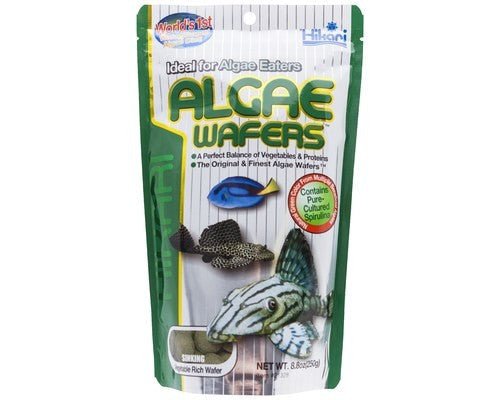 Hikari Algae Wafer 250g - IWAquariums