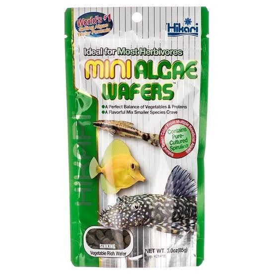 Hikari Mini Algae Wafers 85g - IWAquariums