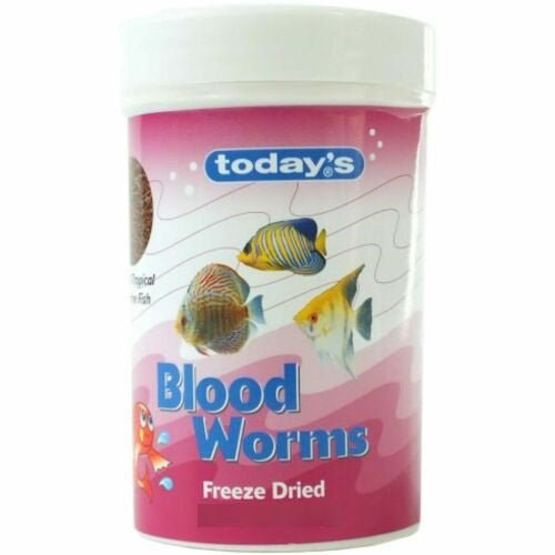 Today's Bloodworm Freeze Dried 10g - IWAquariums